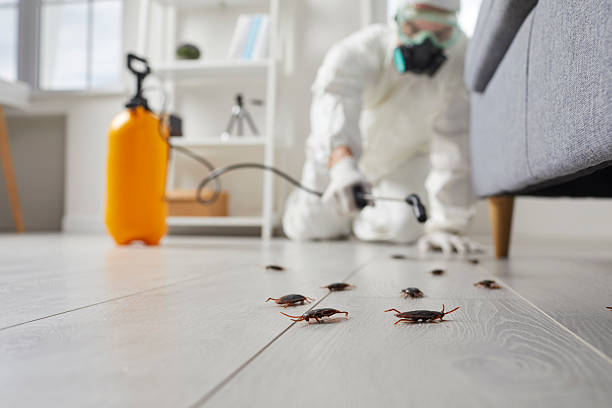 Commercial Kitchen Cockroach Control in Callahan